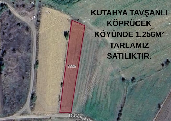 KÜTAHYA TAVŞANLI KÖPRÜCEK KÖYÜNDE 1.256M² TARLAMIZ SATILIKTIR. - KÜTAHYA TAVŞANLI fotoğraf 5